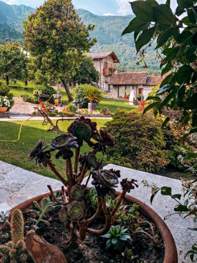 Ferienhaus Il Fienile - Molino Maufet Mühle - View Terrace