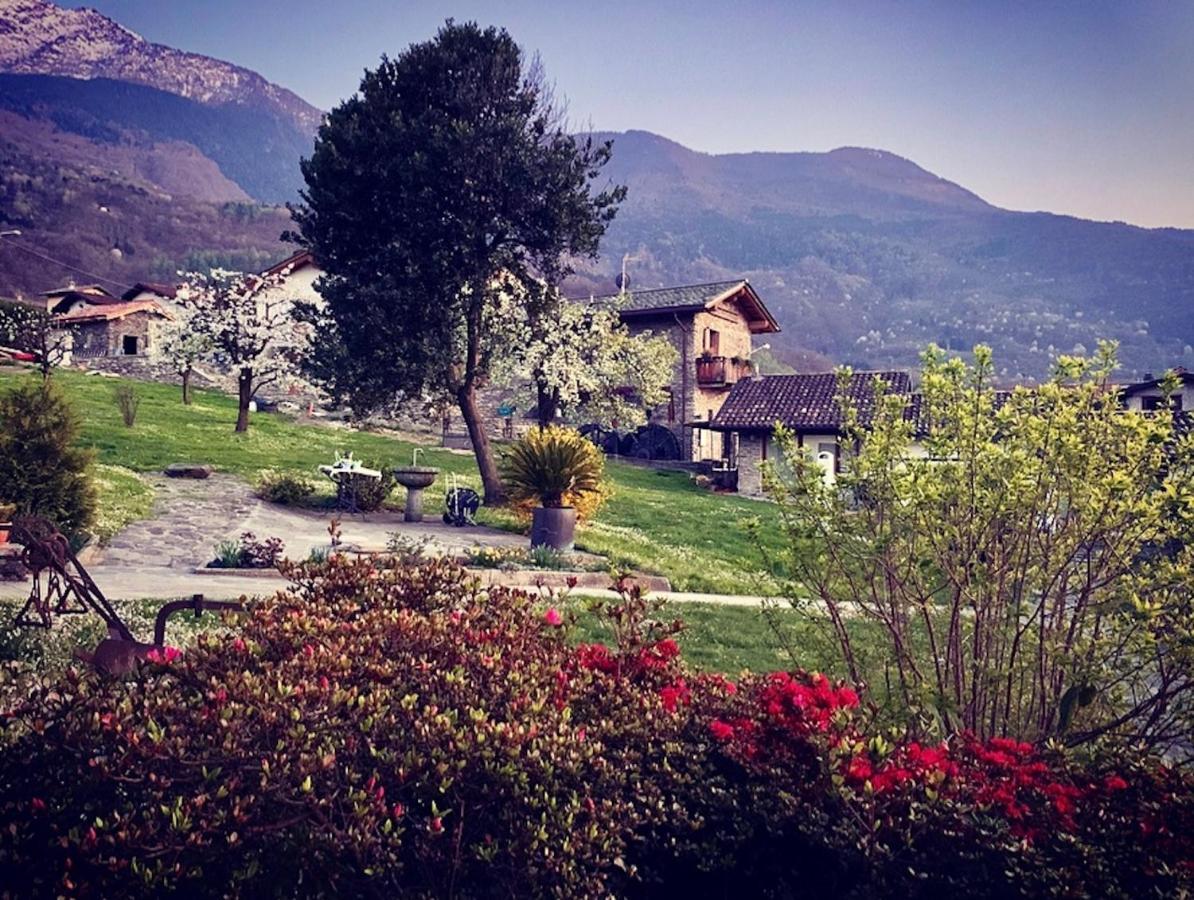 Ferienhaus Il Fienile - Molino Maufet Mühle - View Terrace Colico