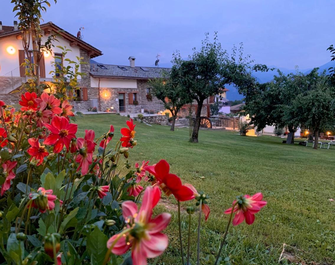 Ferienhaus Il Fienile - Molino Maufet Mühle - View Terrace *